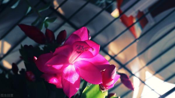 人生最大的失敗,便在於自作聰明 人生最大的失敗,便在於自作聰明