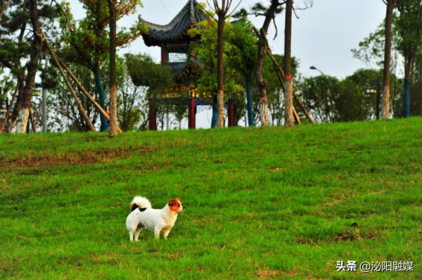 不可思議！已是深秋，月兒灣公園卻如此多彩，恰似夏日還未走遠