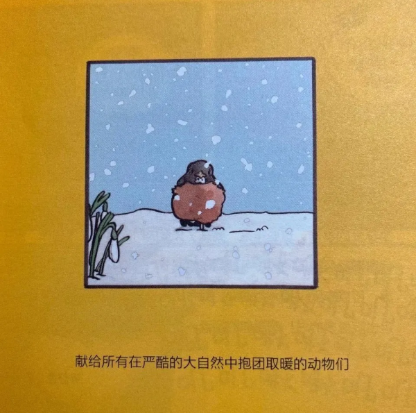 和海鷗一起去碼頭整點薯條吧 | 夜讀 和海鷗一起去碼頭整點薯條吧 | 夜讀