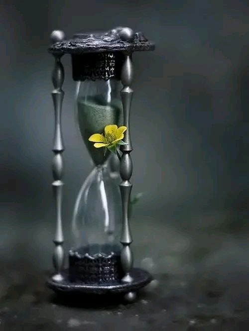 散文:人生回顧,歲月回眸,時間變得越來越寶貴 散文:人生回顧,歲月回眸,時間變得越來越寶貴