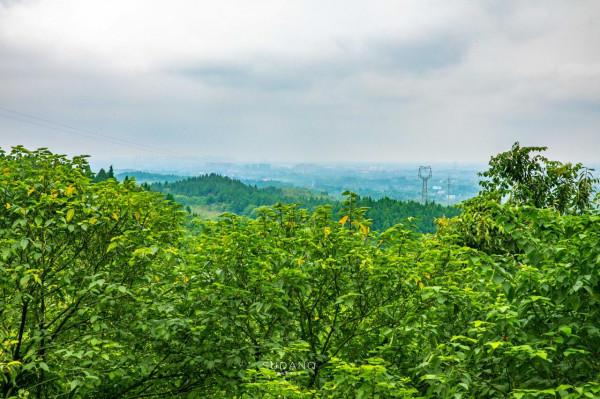 蜀道究竟有多難?人類最早的大型交通遺存之一,已有3000年的歷史 蜀道究竟有多難?人類最早的大型交通遺存之一,已有3000年的歷史