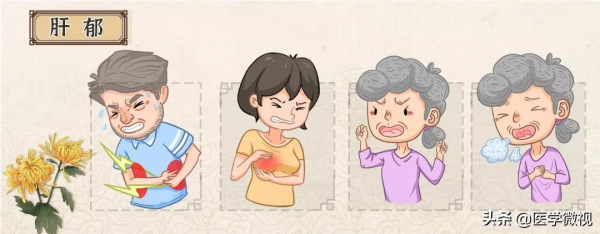 菊花泡茶除了去火還能降壓？但這幾種人不要喝