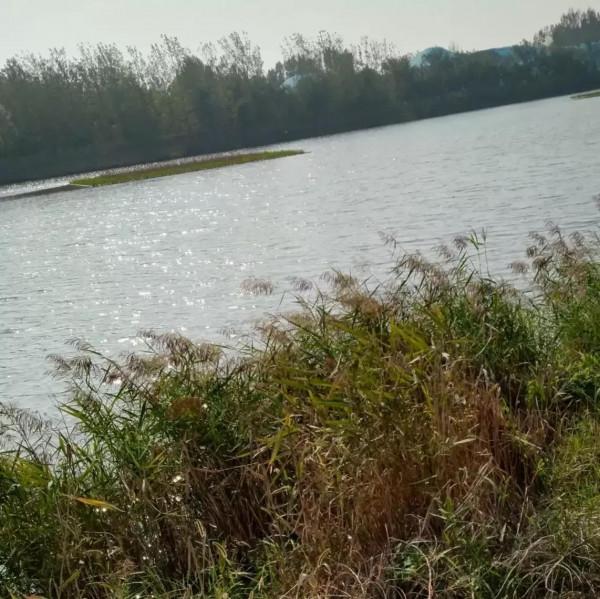 養老生活這樣過，彷彿又回到了童年的歡樂時光之四，旅行