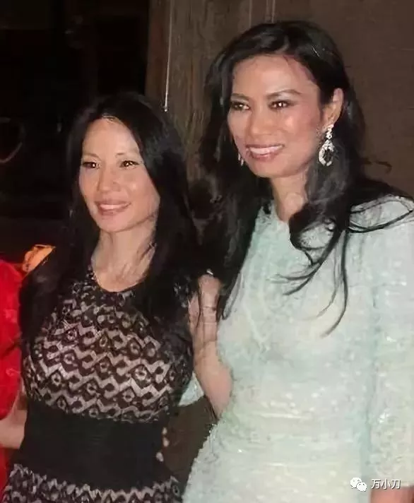 又美又狠,華裔女星的坎坷打拼史 又美又狠,華裔女星的坎坷打拼史