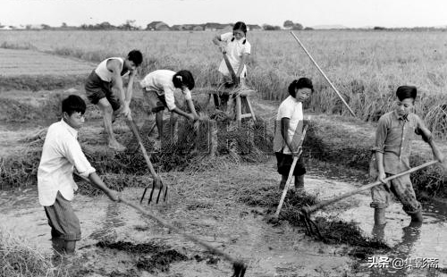 江陰市六七十年代老照片