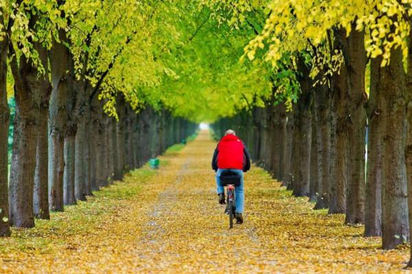 佛蒙特森林風光