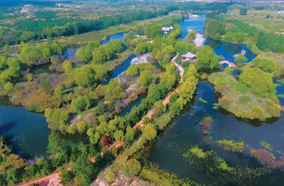 染綠沙漠的人 染綠沙漠的人