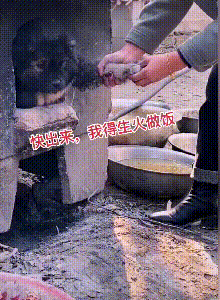 小狗鑽進“灶坑”取暖,不給貓咪留位置,主人拿它沒轍,扯不出來 小狗鑽進“灶坑”取暖,不給貓咪留位置,主人拿它沒轍,扯不出來