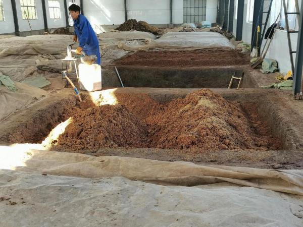 孫氏老窖池酒窖泥是杜康酒生產形成子發展的歷史見證