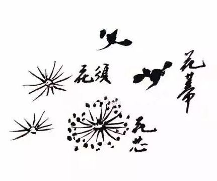 梅花的墨骨畫法,這下全齊了 梅花的墨骨畫法,這下全齊了