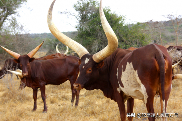 冷知識:你見過100年前的小學課本嗎?居然長這個樣子 冷知識:你見過100年前的小學課本嗎?居然長這個樣子