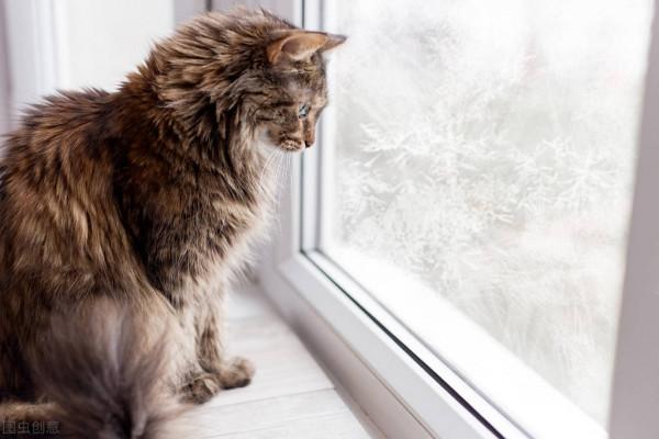 散文,清霜浣心,不染纖塵 散文,清霜浣心,不染纖塵