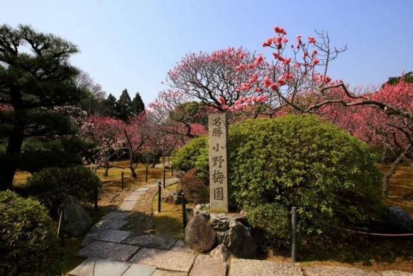 冬天的京都，去這些地方玩會更有趣