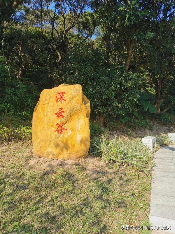 塘朗山&plus;深雲谷，我一天連爬這兩座山，也是沒誰了