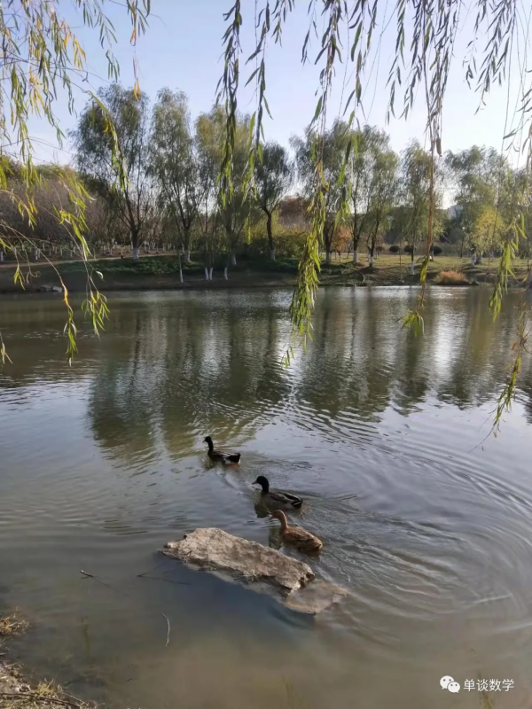 大學城的小動物