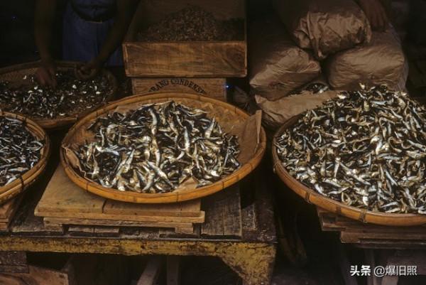 1950年代琉球（沖繩）的日常生活