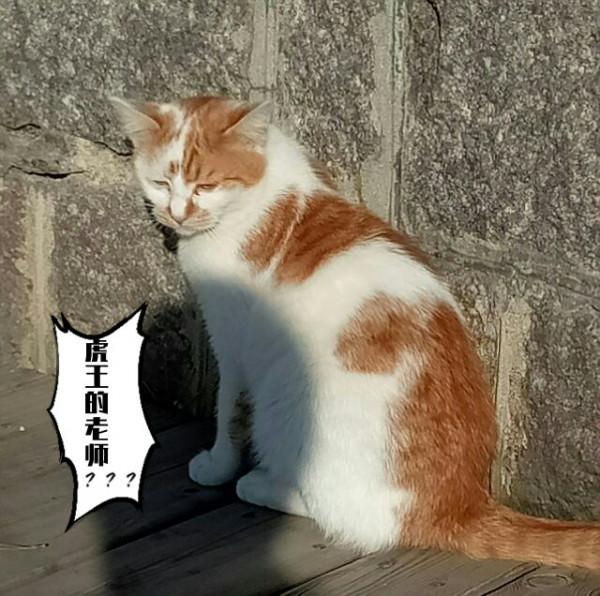 施朝暉詩 今日頭條誰破冰