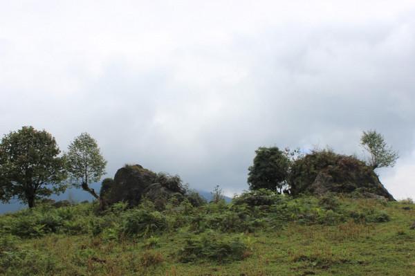 走,我們一起到黑竹溝裡去放豬啦 走,我們一起到黑竹溝裡去放豬啦