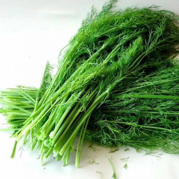 入冬後記得給孩子吃7種綠葉菜,維生素K含量高,價格也不貴 入冬後記得給孩子吃7種綠葉菜,維生素K含量高,價格也不貴