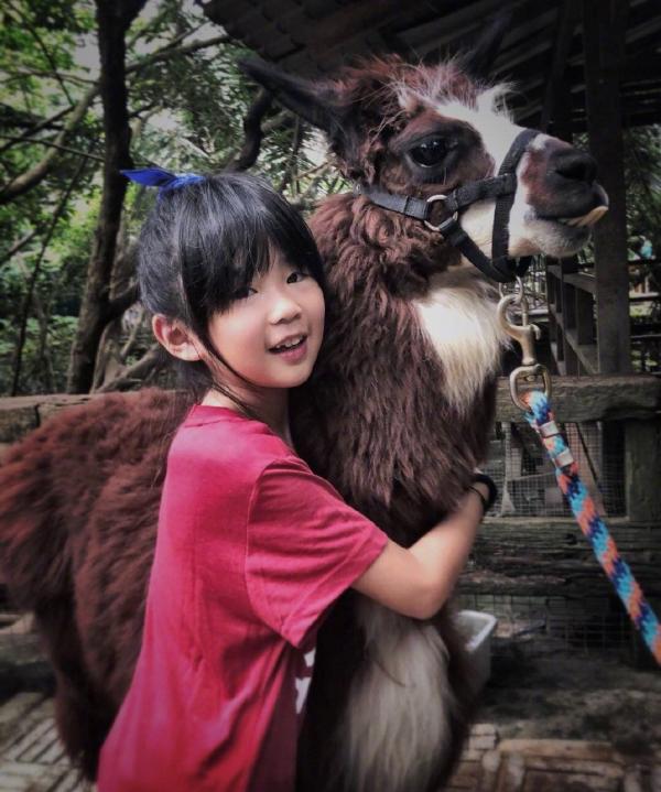 《爸爸去哪兒》8年了，10位女娃變化大，有人進入變美尷尬期