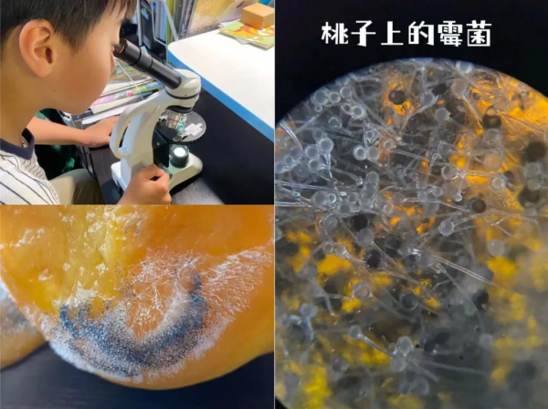 雙減之後的課餘，孩子們在家可以玩什麼？多方案推薦