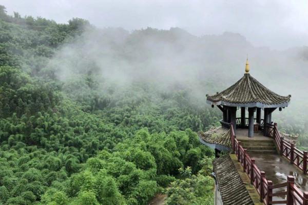 竹文化旅遊前景如何？