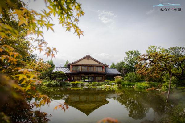 得鹿野仙蹤，何須去遠方--藏在太白山的親子樂園