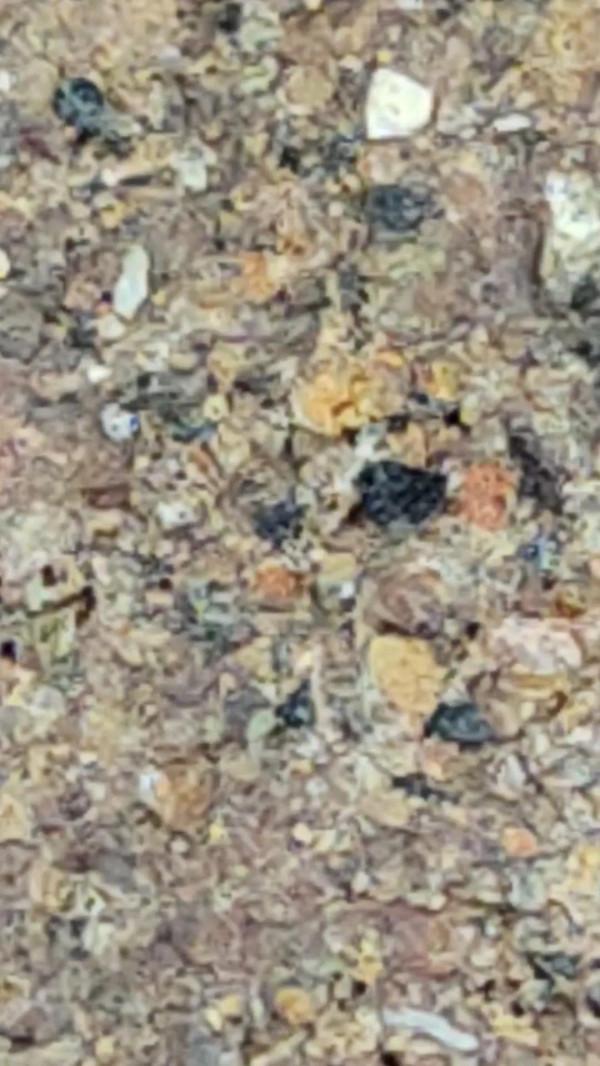 定向碳質球粒隕石