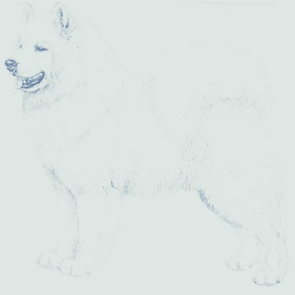 民間故事：美婦下嫁俊俏書生，人人稱羨背後，有一段荒唐故事