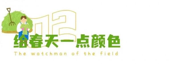 自在寧國丨賞春景、踏青趣，ALPS森林小鎮陪你玩轉整個春天！