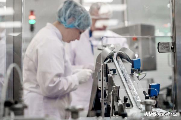 俄羅斯科學家成功將視覺植入猴子體內