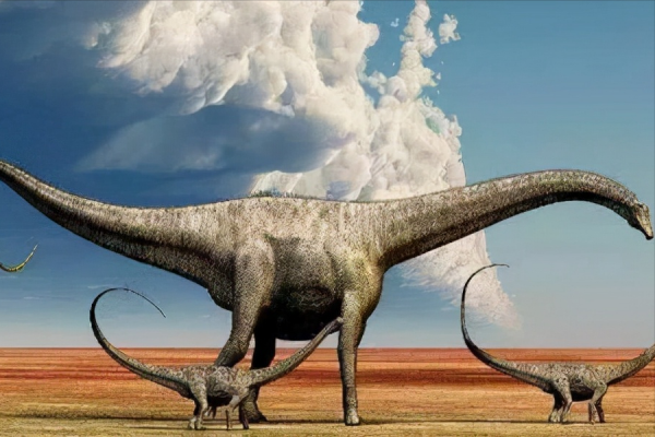 十大遠古巨獸排行榜,大象如點心鯊魚像幼崽,有一種至今還存在? 十大遠古巨獸排行榜,大象如點心鯊魚像幼崽,有一種至今還存在?