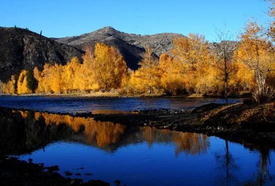 現代版的“子母河”—額爾齊斯河 現代版的“子母河”—額爾齊斯河
