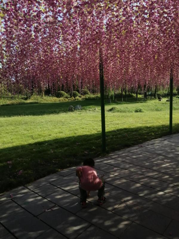 感覺不值得 感覺不值得