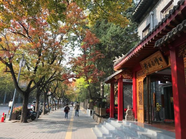 日壇路—日壇公園—芳草地小學 日壇路—日壇公園—芳草地小學