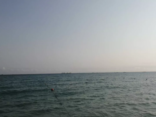 路遇平民樂隊（散文）