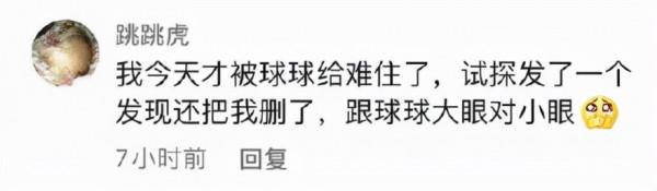 寵物店崩潰日常：太多“多多”了，你是哪家的多多