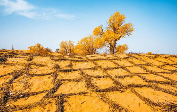 新疆沙漠中的&OpenCurlyDoubleQuote;地下海洋&rdquo;，為什麼遲遲不開採？開採了會怎麼樣？