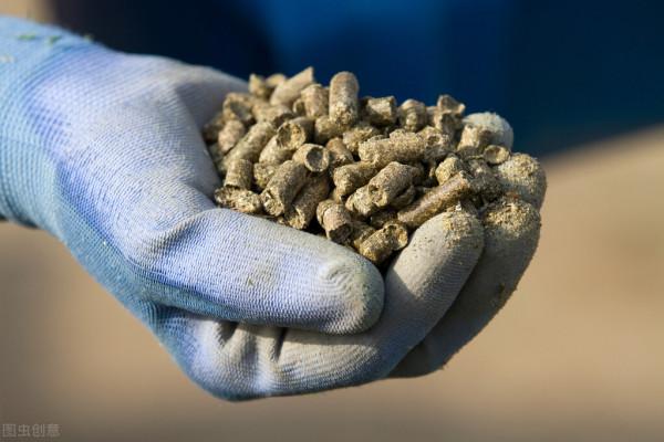 冬季野釣沒口怎麼辦？調整這幾個常見誤區，爆護大板鯽