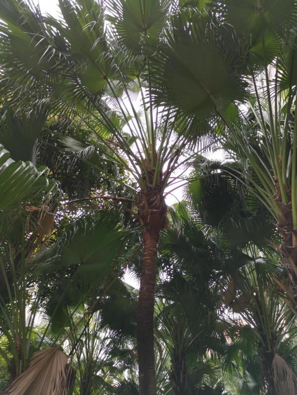 武術修為可以劃分為幾個境界 武術修為可以劃分為幾個境界