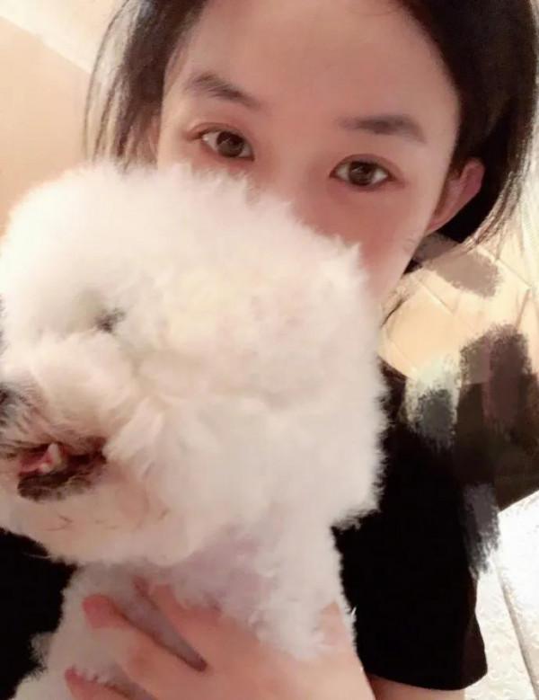 趙麗穎拍攝妻子的秘密的時候把毛球帶回家，如今已經陪伴穎寶十年