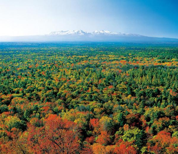 中國人應該怎樣賞秋？（附4條賞秋路線）