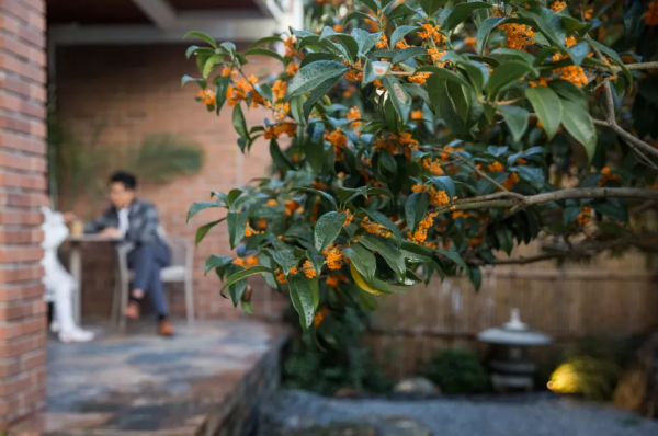 一樓帶60㎡院子的3居室，翻新改造後，效果不輸別墅