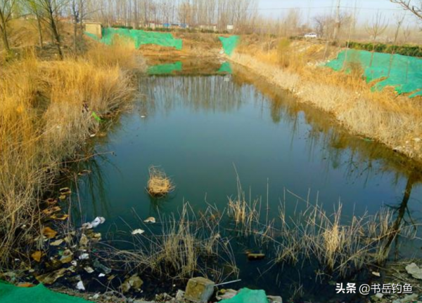 冬季釣魚可別到了就著急下竿，學會這套法則，多冷都能釣到大板鯽