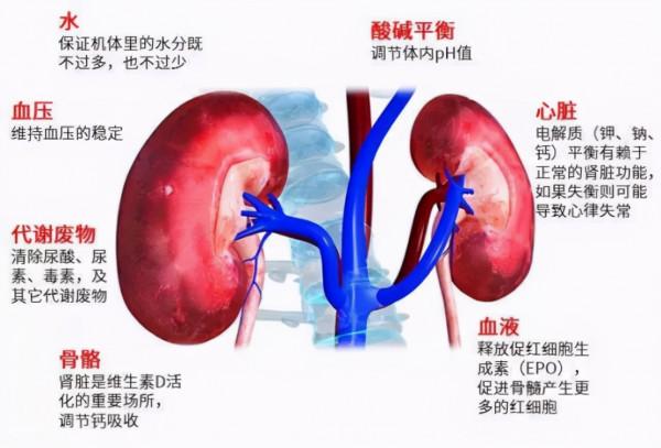 腎好不好一泡尿就能知曉？尿液常有幾種變化，需給腎做檢查
