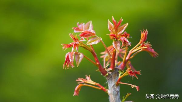 疫情2年，你還好嗎？