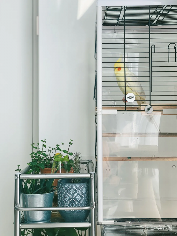 同樣是79㎡小三居，憑啥人家能住成大平層？