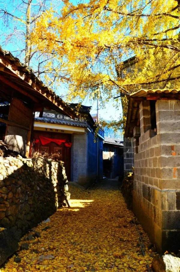 自駕七彩雲南：相逢普渡村，遇見可愛的老沙