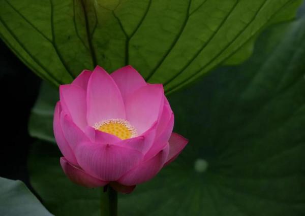 小人三戒 君子三畏