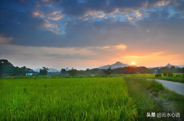 文同很著名的一首七律，樸實無華，展現出山村生活的樂趣